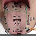 舌诊_八卦.jpg