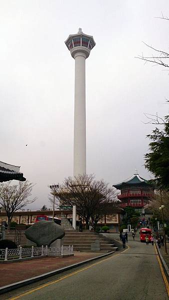 '14 韓國釜山．慶州．鎮海賞櫻