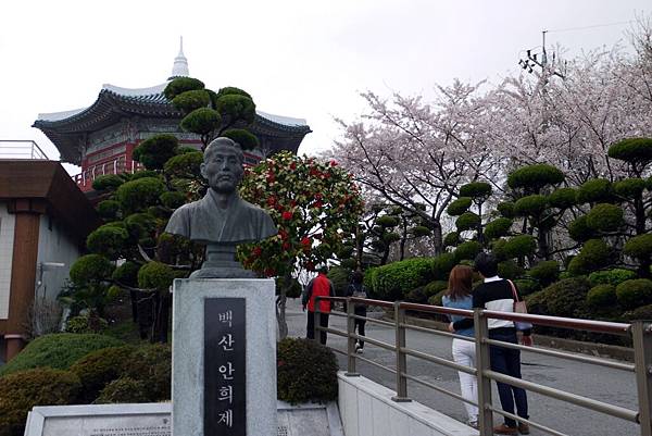 '14 韓國釜山．慶州．鎮海賞櫻