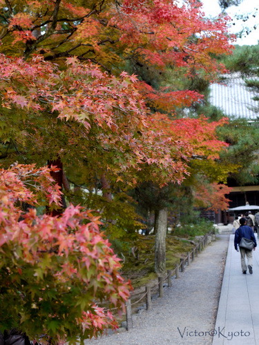 南禪寺 014.JPG