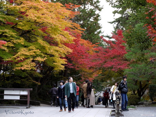 南禪寺 026.JPG