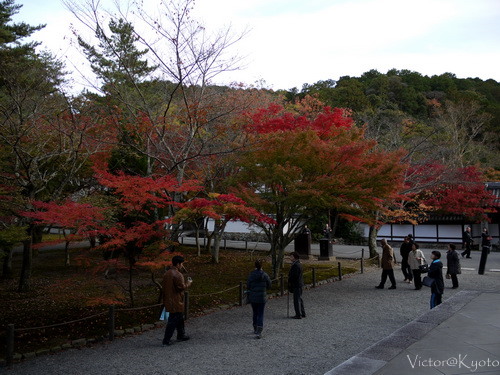 南禪寺 012.JPG