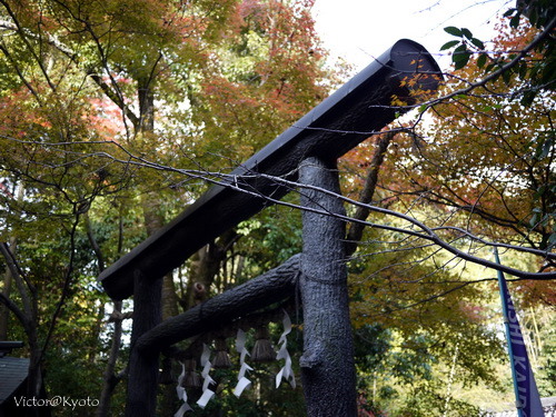 野宮神社 06.JPG