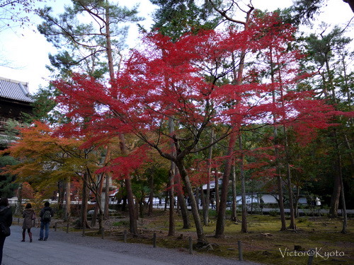 南禪寺 009.JPG