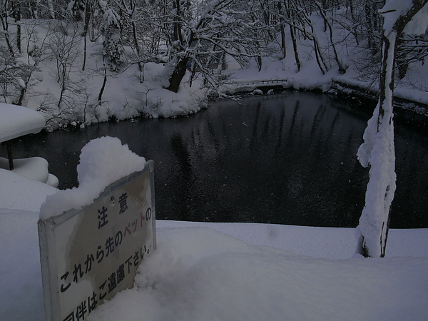 京極羊蹄湧水公園.JPG