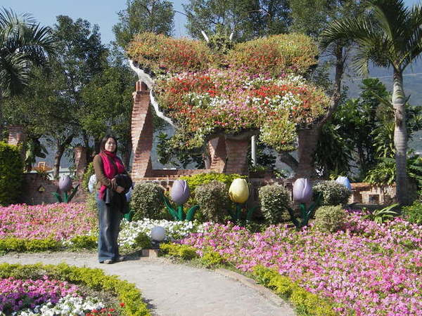 30101鬱金香花園.JPG