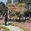 30101鬱金香花園.JPG