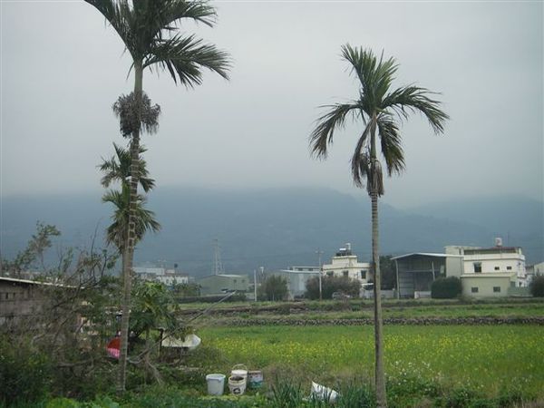 新竹橫山7.JPG