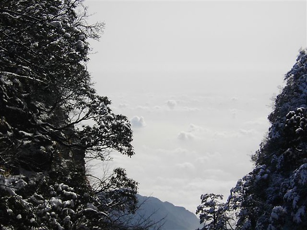 004雲海@2600m.JPG