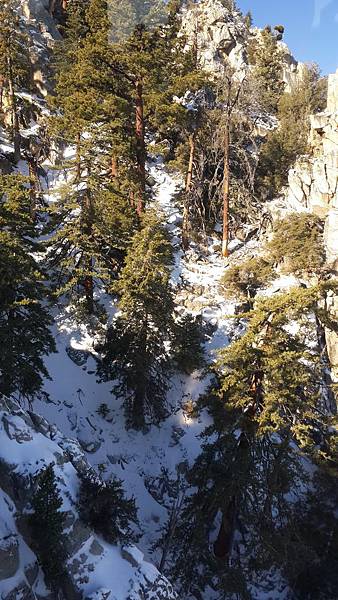 20151220010.jpg 20151220010.jpg