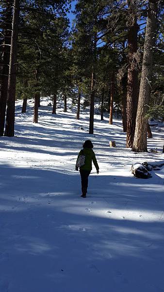 20151220024.jpg 20151220024.jpg