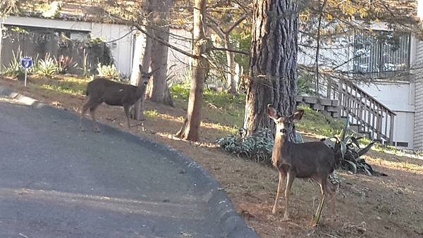 20151227003.jpg 20151227003.jpg