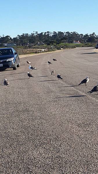 20151227007.jpg 20151227007.jpg