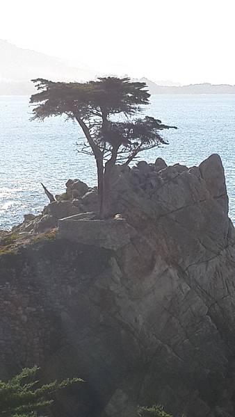 20151227009.jpg 20151227009.jpg