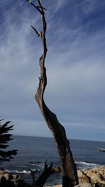 20151227025.jpg 20151227025.jpg