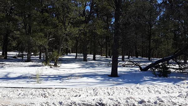 20151230007.jpg 20151230007.jpg