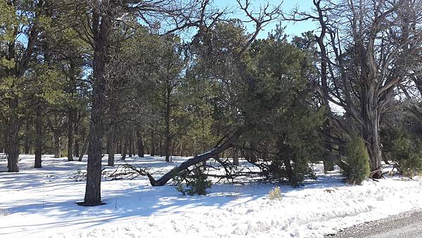 20151230008.jpg 20151230008.jpg