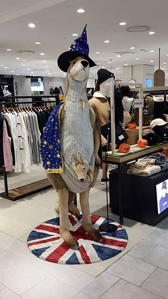 20171022034.jpg 20171022034.jpg