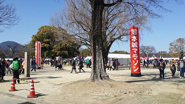 20180218091.jpg 20180218091.jpg