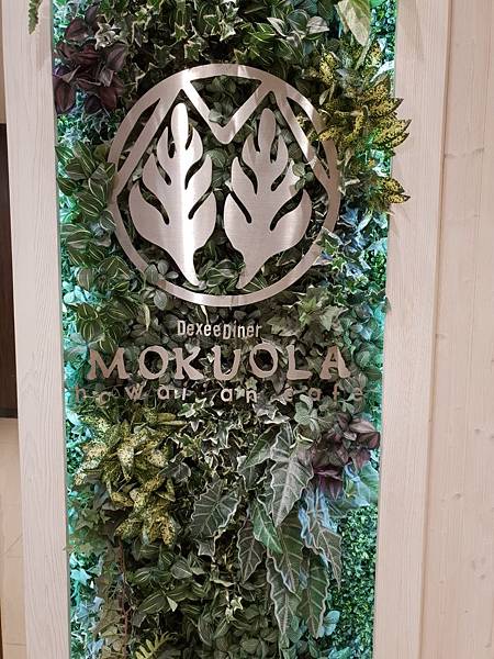 20180605_114558.jpg 20180605_114558.jpg