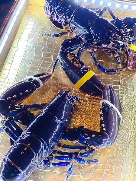 20180924_115610-1.jpg 20180924_115610-1.jpg