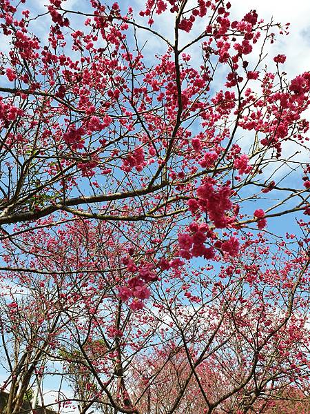 20220227_143954.jpg 20220227_143954.jpg