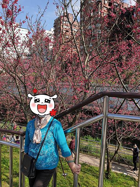 20220227_191407.jpg 20220227_191407.jpg