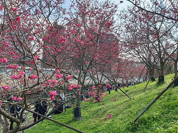 20220227_144814.jpg 20220227_144814.jpg