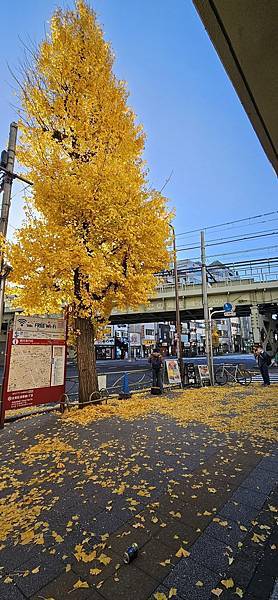 〔2023跨年在東京〕戰利品篇: 藥妝/無印/泡麵/零食伴手