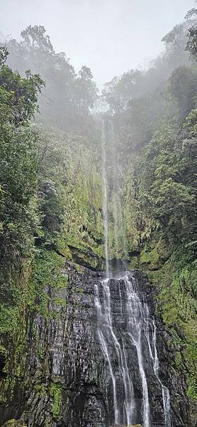 〔宜蘭礁溪〕年前小旅行~ 五峰旗, 小雨林, 龍潭湖, 玉仁