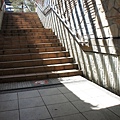 DSC07350.JPG