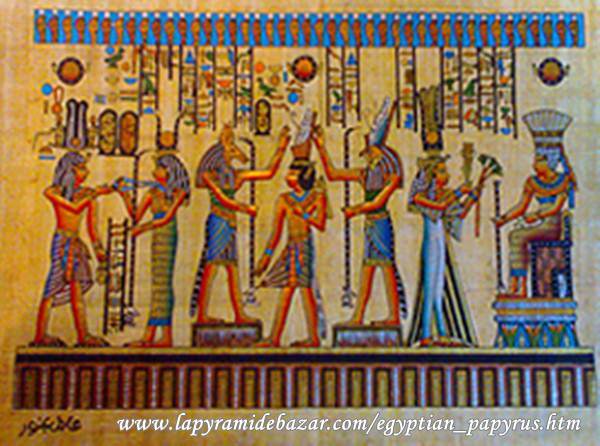 20100220papyrus06.jpg