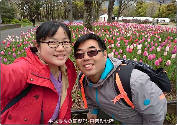 東京 北陸 日比谷公園原來也有粉蝶花 小威的blog 痞客邦 東京 北陸 日比谷公園原來也有粉蝶花 小威的blog 痞客邦