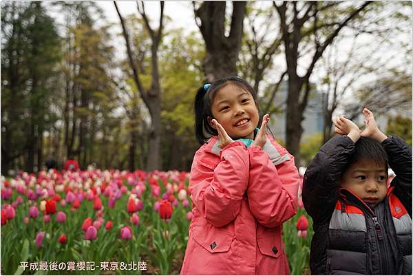東京 北陸 日比谷公園原來也有粉蝶花 小威的blog 痞客邦 東京 北陸 日比谷公園原來也有粉蝶花 小威的blog 痞客邦
