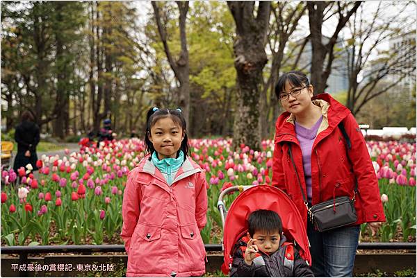 東京 北陸 日比谷公園原來也有粉蝶花 小威的blog 痞客邦 東京 北陸 日比谷公園原來也有粉蝶花 小威的blog 痞客邦