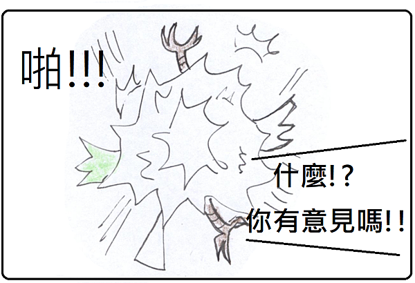 鸚鵡打架.png