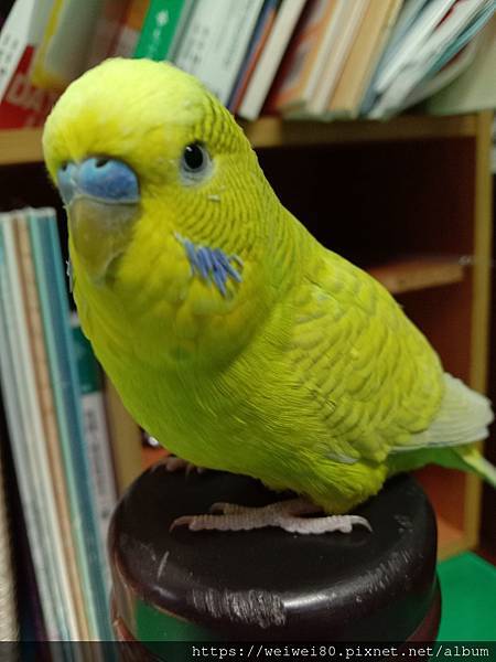 300043173_590709125799202_5751022739323481769_n