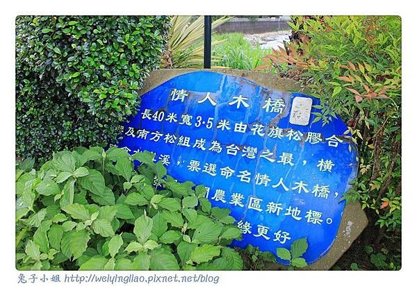 IMG_3498-1.jpg IMG_3498-1.jpg