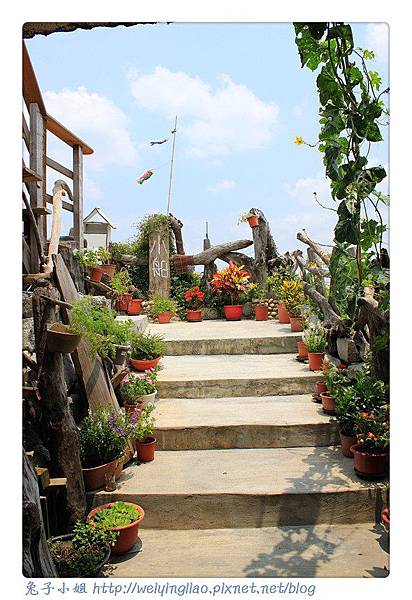 IMG_5645-1.jpg IMG_5645-1.jpg