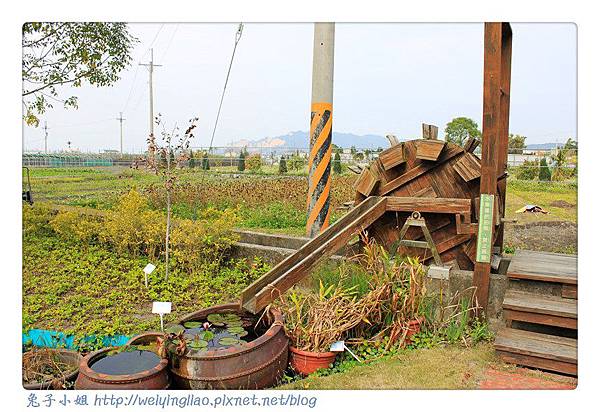 IMG_4121-1.jpg IMG_4121-1.jpg