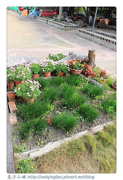 IMG_4132-1.jpg IMG_4132-1.jpg