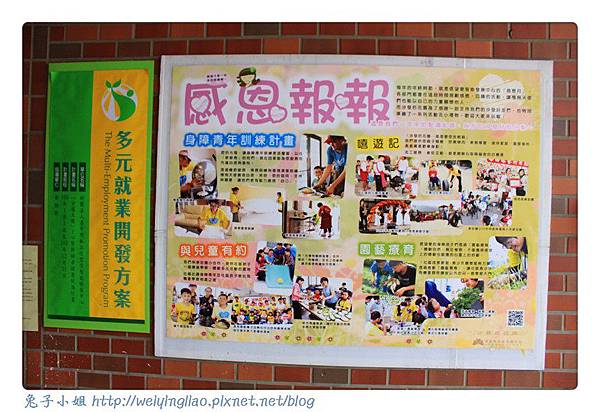 IMG_4167-1.jpg IMG_4167-1.jpg