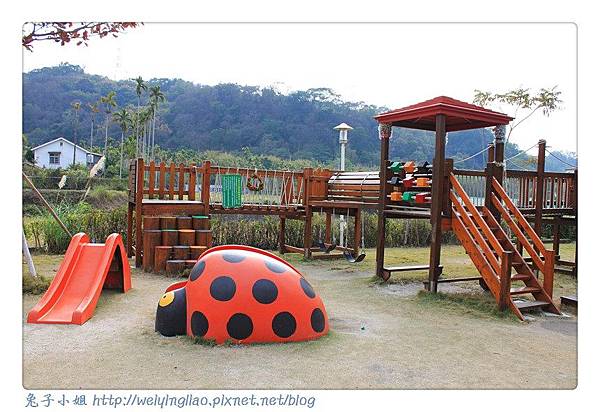 IMG_4228-1.jpg IMG_4228-1.jpg