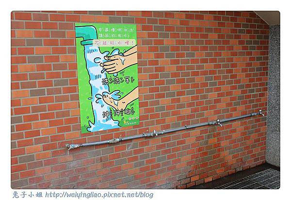 IMG_4233-1.jpg IMG_4233-1.jpg