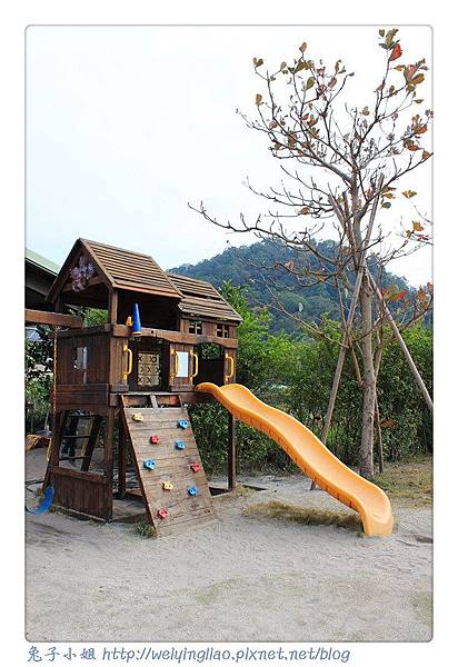 IMG_4231-1.jpg IMG_4231-1.jpg