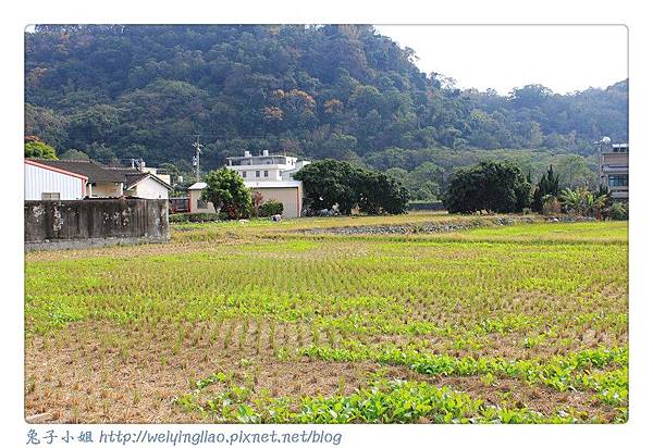 IMG_4239-1.jpg IMG_4239-1.jpg