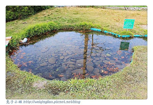 IMG_4235-1.jpg IMG_4235-1.jpg