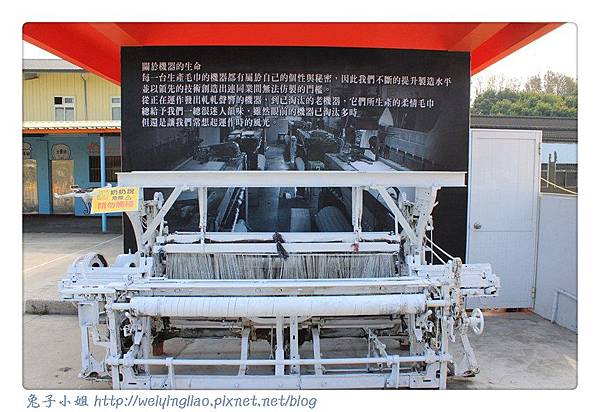 IMG_7281-1.jpg IMG_7281-1.jpg