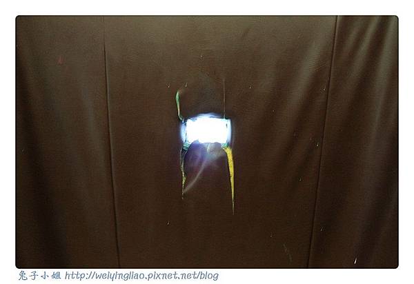 IMG_7550-1.jpg IMG_7550-1.jpg