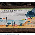 IMG_8106-1.jpg
